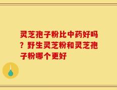 灵芝孢子粉比中药好吗？野生灵芝粉和灵芝孢子粉哪个更好