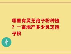 哪里有灵芝孢子粉种植？一亩地产多少灵芝孢子粉