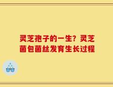 灵芝孢子的一生？灵芝菌包菌丝发育生长过程