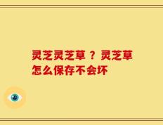灵芝灵芝草 ？灵芝草怎么保存不会坏