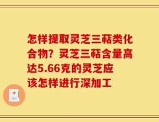 怎样提取灵芝三萜类化合物？灵芝三萜含量高达5.66克的灵芝应该怎样进行深加工
