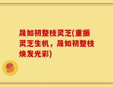 晟如初整枝灵芝(重振灵芝生机，晟如初整枝焕发光彩)