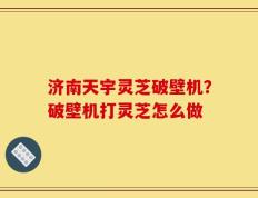 济南天宇灵芝破壁机？破壁机打灵芝怎么做