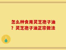 怎么种食用灵芝孢子油？灵芝孢子油正宗做法
