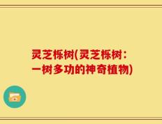 灵芝栎树(灵芝栎树：一树多功的神奇植物)