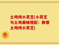 土鸡炖小灵芝(小灵芝与土鸡美味搭配：鲜香土鸡炖小灵芝)