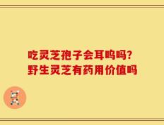 吃灵芝孢子会耳呜吗？野生灵芝有药用价值吗