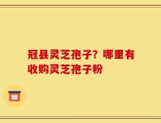 冠县灵芝孢子？哪里有收购灵芝孢子粉