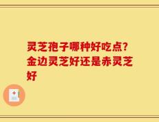 灵芝孢子哪种好吃点？金边灵芝好还是赤灵芝好