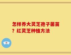 怎样养大灵芝孢子菌苗？红灵芝种植方法