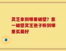 灵芝拿到哪里破壁？紫一破壁灵芝孢子粉到哪里买最好
