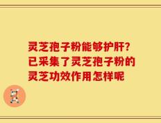 灵芝孢子粉能够护肝？已采集了灵芝孢子粉的灵芝功效作用怎样呢