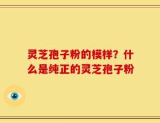 灵芝孢子粉的模样？什么是纯正的灵芝孢子粉