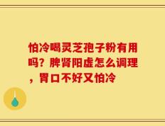怕冷喝灵芝孢子粉有用吗？脾肾阳虚怎么调理，胃口不好又怕冷