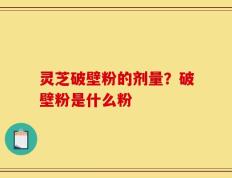 灵芝破壁粉的剂量？破壁粉是什么粉