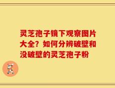 灵芝孢子镜下观察图片大全？如何分辨破壁和没破壁的灵芝孢子粉