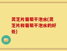 灵芝片葡萄干泡水(灵芝片和葡萄干泡水的好处)