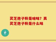 灵芝孢子粉是啥味？真灵芝孢子粉是什么味