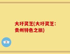 大圩灵芝(大圩灵芝：贵州特色之旅)