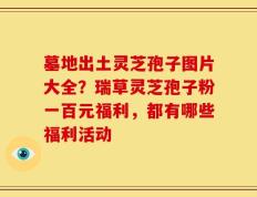 墓地出土灵芝孢子图片大全？瑞草灵芝孢子粉一百元福利，都有哪些福利活动