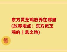 东方灵芝鸡放养在哪里(放养地点：东方灵芝鸡的棲息之地)