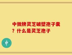 中微牌灵芝破壁孢子囊？什么是灵芝孢子