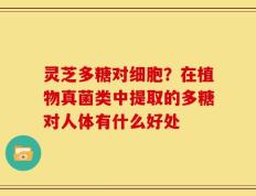 灵芝多糖对细胞？在植物真菌类中提取的多糖对人体有什么好处