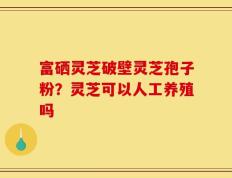 富硒灵芝破壁灵芝孢子粉？灵芝可以人工养殖吗