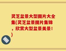 灵芝盆景大型图片大全集(灵芝盆景图片集锦，欣赏大型盆景美景！)