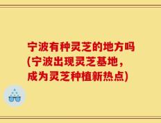 宁波有种灵芝的地方吗(宁波出现灵芝基地，成为灵芝种植新热点)