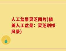 人工盆景灵芝图片(精美人工盆景：灵芝别样风景)