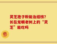 灵芝孢子粉能治结核？长在龙眼老树上的“灵芝”能吃吗