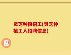 灵芝种植招工(灵芝种植工人招聘信息)