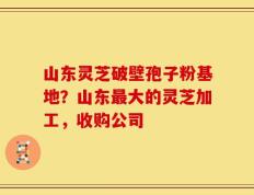 山东灵芝破壁孢子粉基地？山东最大的灵芝加工，收购公司