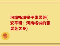 河南柘城安平张灵芝(安平镇：河南柘城的张灵芝之乡)