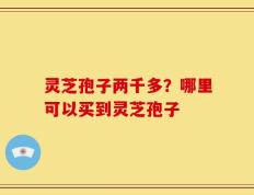 灵芝孢子两千多？哪里可以买到灵芝孢子