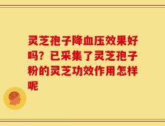 灵芝孢子降血压效果好吗？已采集了灵芝孢子粉的灵芝功效作用怎样呢