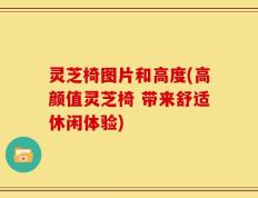 灵芝椅图片和高度(高颜值灵芝椅 带来舒适休闲体验)