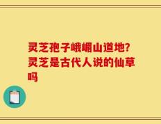 灵芝孢子峨嵋山道地？灵芝是古代人说的仙草吗