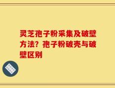 灵芝孢子粉采集及破壁方法？孢子粉破壳与破壁区别
