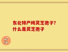 东北特产纯灵芝孢子？什么是灵芝孢子