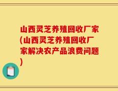 山西灵芝养殖回收厂家(山西灵芝养殖回收厂家解决农产品浪费问题)
