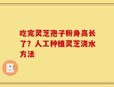 吃完灵芝孢子粉身高长了？人工种植灵芝浇水方法