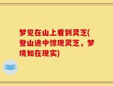 梦见在山上看到灵芝(登山途中惊现灵芝，梦境如在现实)