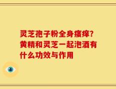 灵芝孢子粉全身瘙痒？黄精和灵芝一起泡酒有什么功效与作用