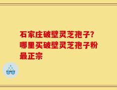 石家庄破壁灵芝孢子？哪里买破壁灵芝孢子粉最正宗