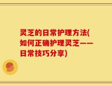 灵芝的日常护理方法(如何正确护理灵芝——日常技巧分享)