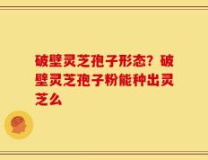 破壁灵芝孢子形态？破壁灵芝孢子粉能种出灵芝么