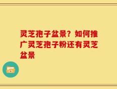 灵芝孢子盆景？如何推广灵芝孢子粉还有灵芝盆景