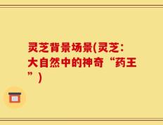 灵芝背景场景(灵芝：大自然中的神奇“药王”)